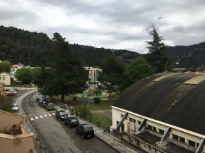 Appartement Amélie-les-Bains-Palalda, 1 pièce, 2 personnes - FR-1-659-17